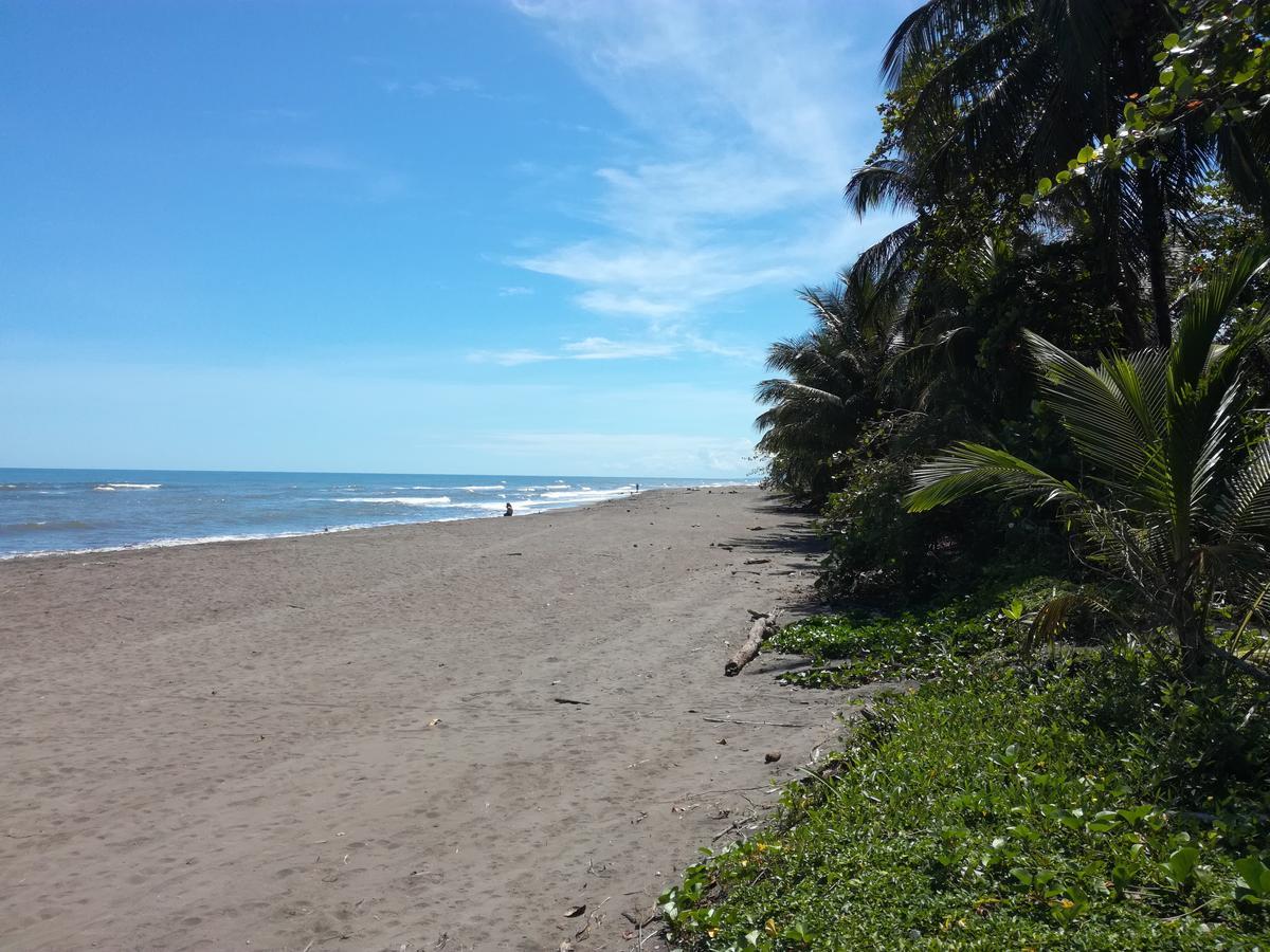 Apartahotel & Gym Rondon Tortuguero Exterior foto